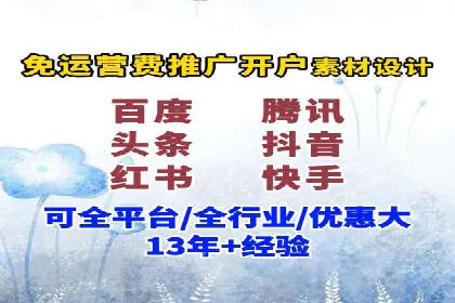 落地页在SEM优化中的重要性及成功案例